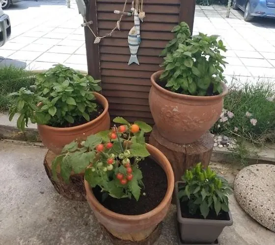 Aquarius 酒店 Skála Foúrkas