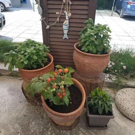 Aquarius Hotel Skála Foúrkas